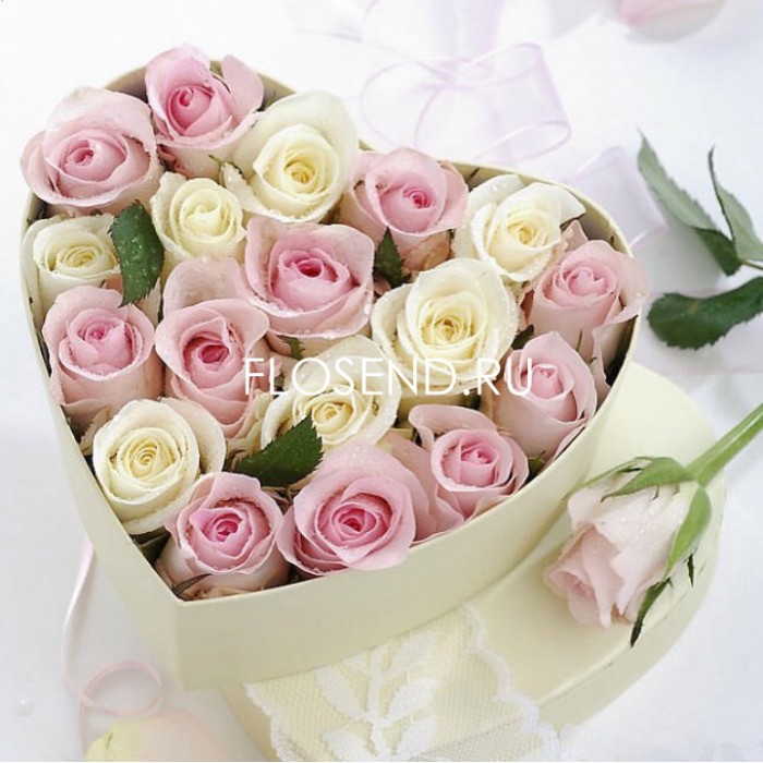 19 роз розовых и белых в коробке форме сердце