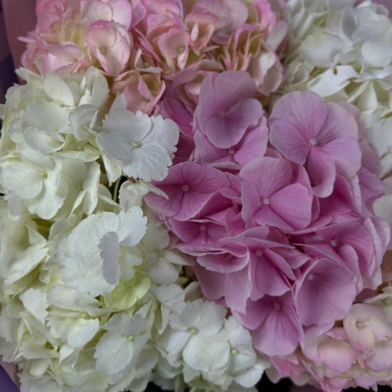 Букет «Гортензия бело розовая» - фото 5