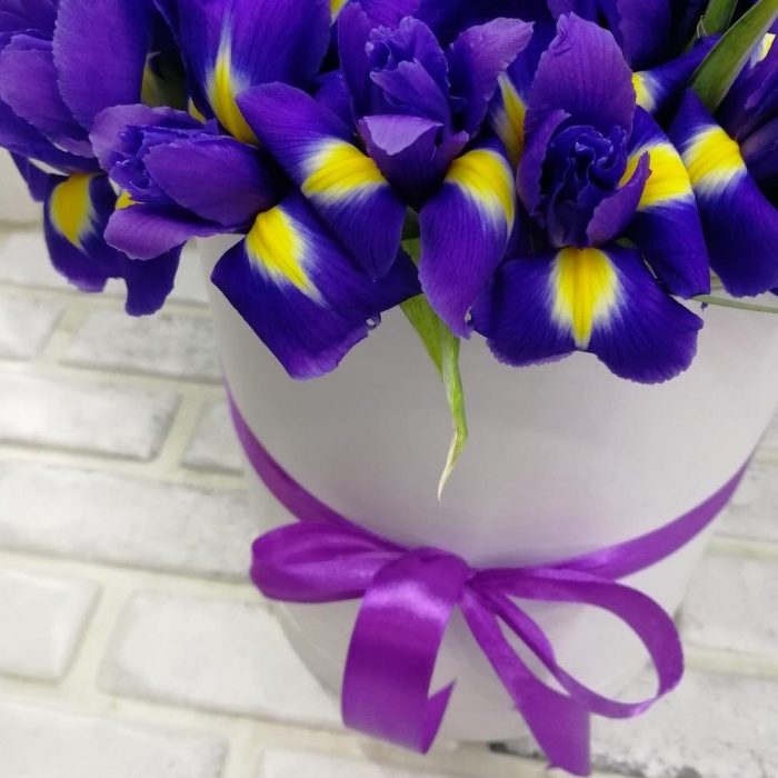 Ирисы в коробке, фото 6